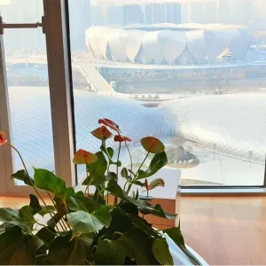 Dark Blue International Center