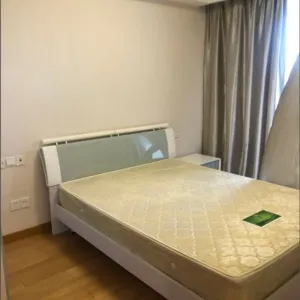 Green Town Yang Liu Jun