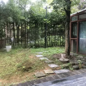 The Butterfly Valley