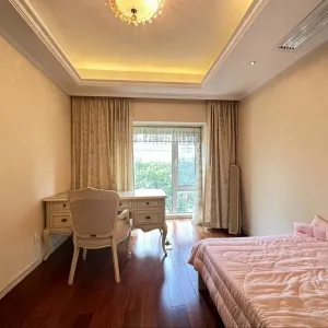 New City International