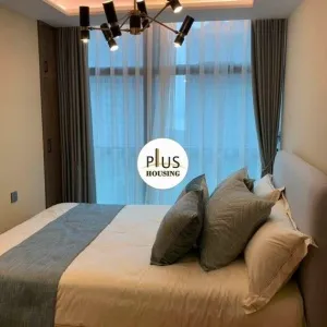 Shi Bao International