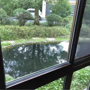 The Butterfly Valley