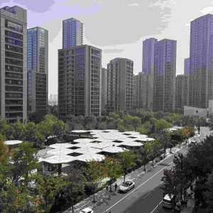 绿城桂冠东方4区