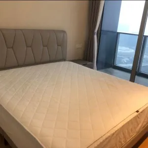 Dark Blue International Center