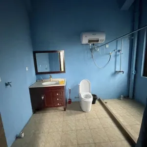 Geya Apartment Fu Shang Villa 