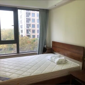 Green Town Yang Liu Jun