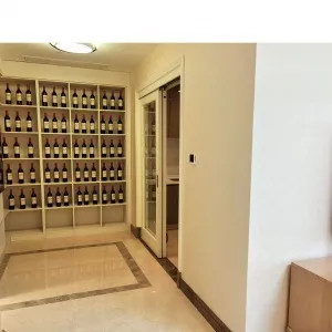 Dark Blue International Center