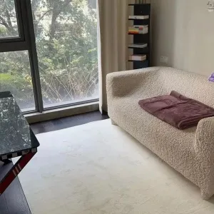 Green Town Yang Liu Jun