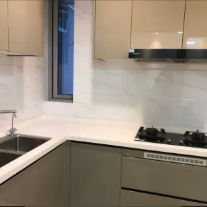 Dark Blue International Center