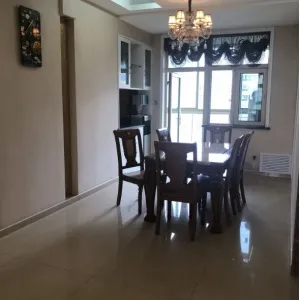 New City International