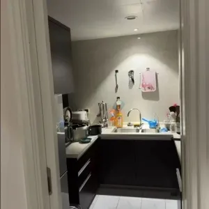 Green Town Yang Liu Jun