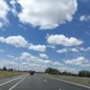 Sunny
