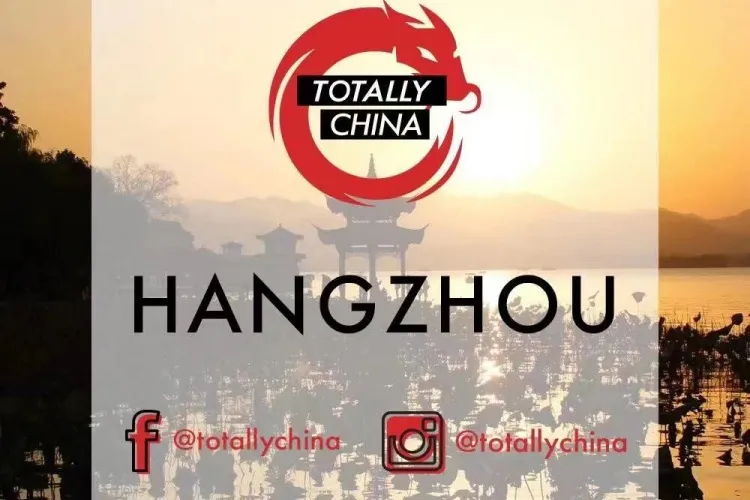 外国人开的外教求职中介