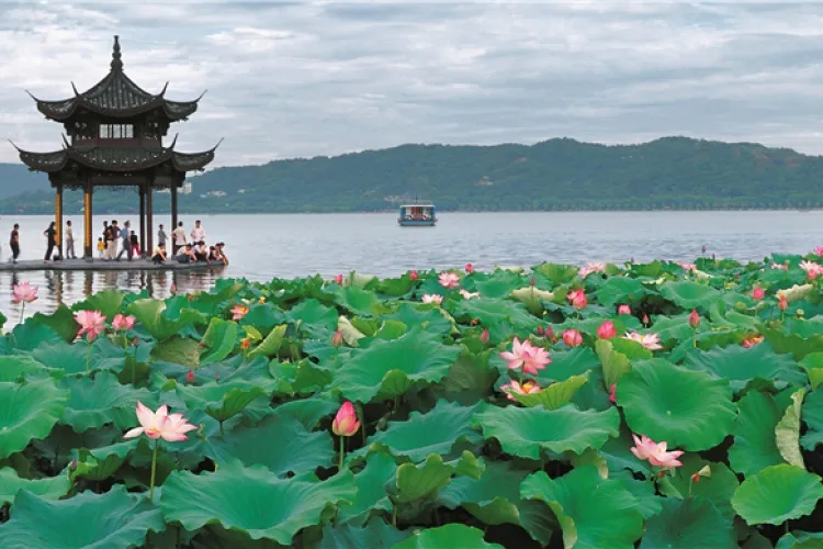 A glimpse into Hangzhou