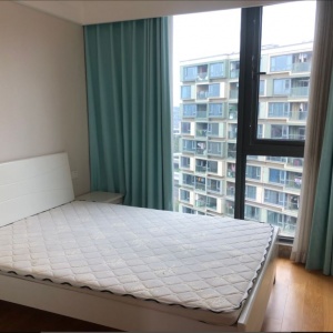 Green Town Yang Liu Jun