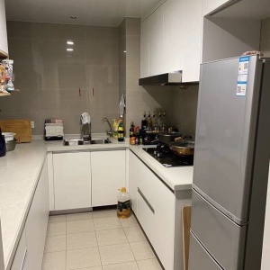 Green Town Yang Liu Jun