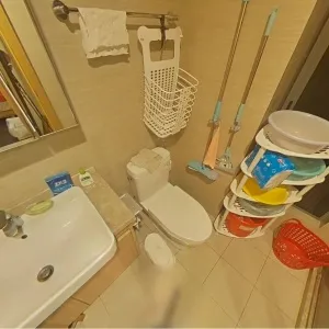 Green Town Yang Liu Jun