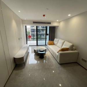 Zhong Nan Furture In 