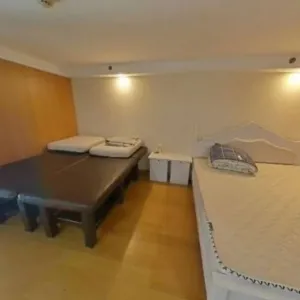 Day Trust International