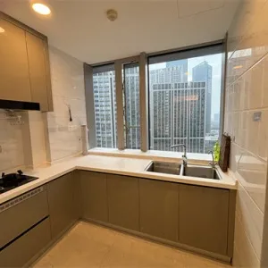 Dark Blue International Center