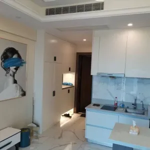 Dark Blue International Center