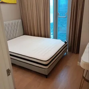 Dark Blue International Center