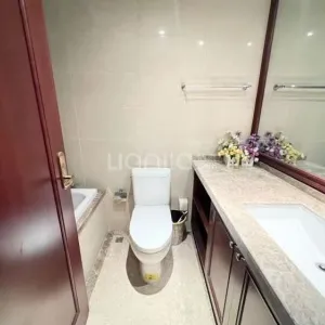 Wanke Beichen Zhiguang Erqi