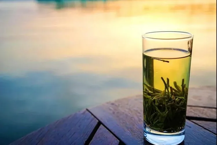 每天一杯龙井对身体大有益处！