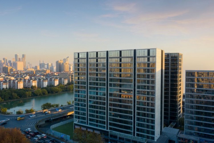 Feng Qi Chao Ming·The Dragon