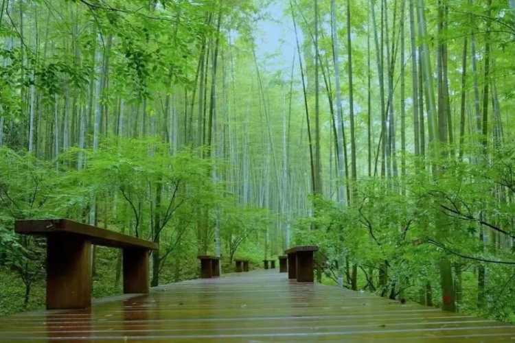 Treasured Places to Beat the Summer Heat by the West Lake