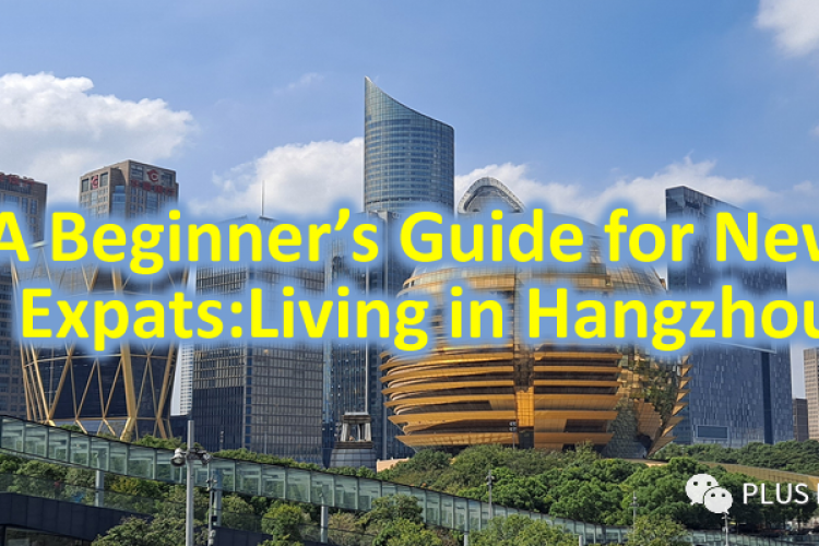 A Beginner’s Guide for New Expats: Living in Hangzhou
