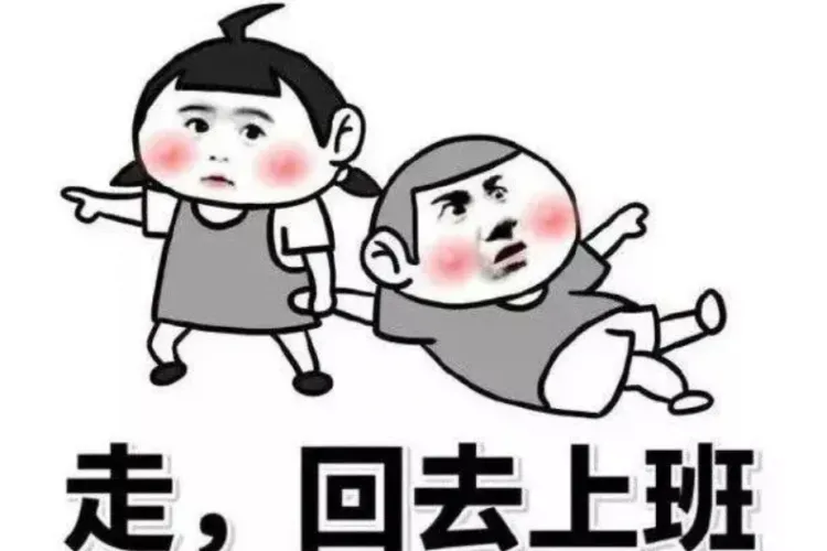 学一些中文，掌握求职技能